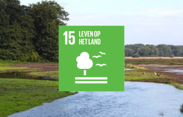 SDG15