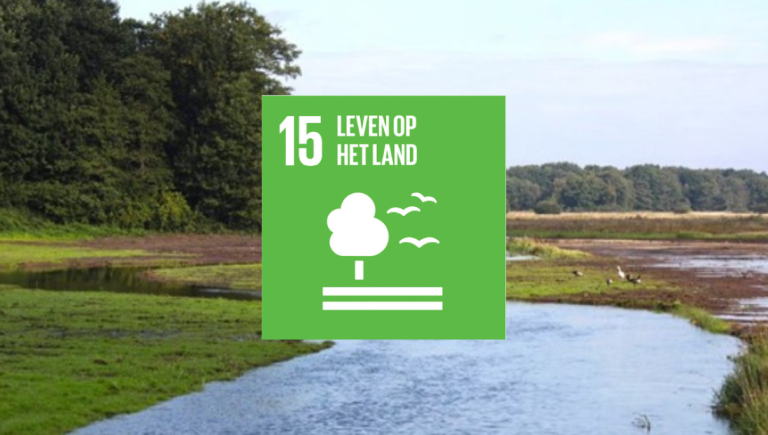 SDG15