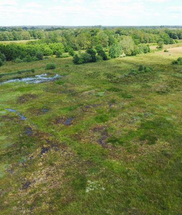 Assen-Oost (drone)